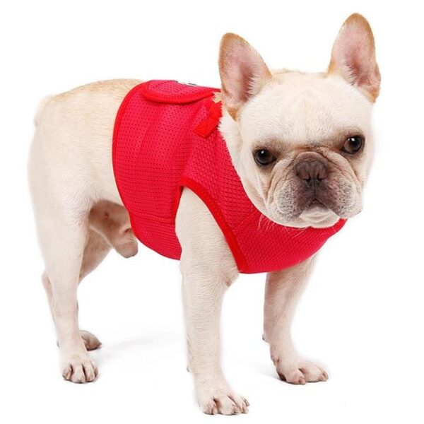 Frenchie World Shop red / XS 26-30cm chest Breathable Mesh Light Vest Harness
