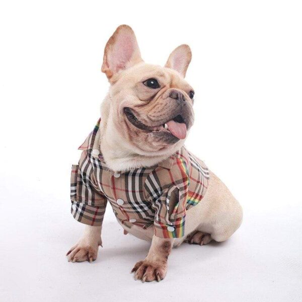 Frenchie World Shop British Plaid French Bulldog Shirt