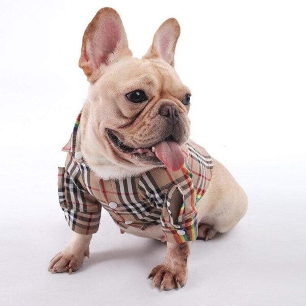 Frenchie World Shop British Plaid French Bulldog Shirt