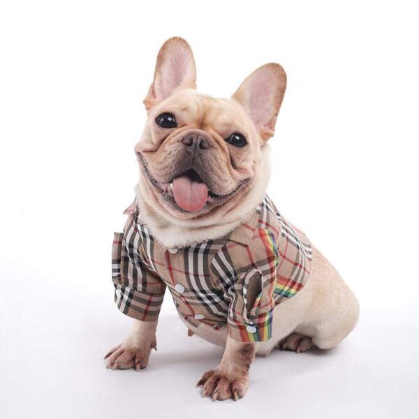 Frenchie World Shop A01 / XS British Plaid French Bulldog Shirt