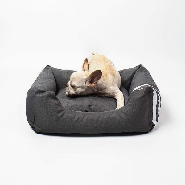 Frenchie World Shop Canvas Soft & Cozy French Bulldog Bed