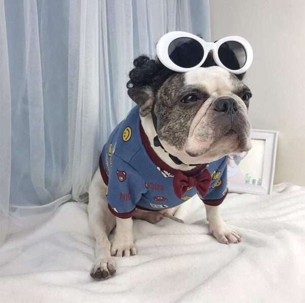 Frenchie World Shop Cartoon French Bulldog Sweatshirt with Bow-Tie