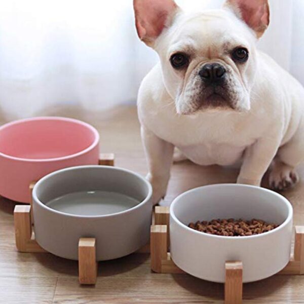 Frenchie World Shop Ceramic Feeding Bowl With Wooden Stand