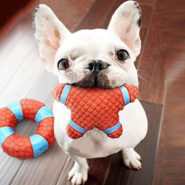 Frenchie World Shop Dog Accessories Chew toys squeaky sound