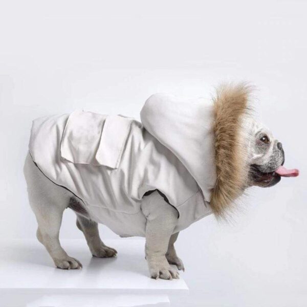 Frenchie World Shop Chill Winter Dog Jacket