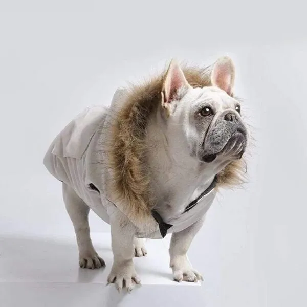 Frenchie World Shop White / M Chill Winter Dog Jacket