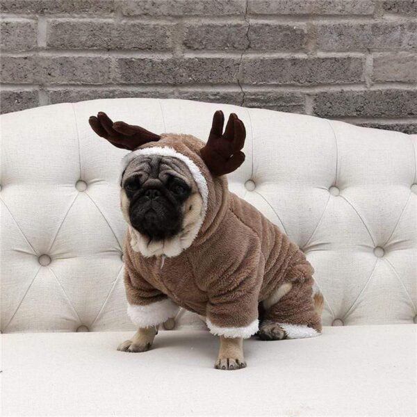 Frenchie World Shop Christmas Dog Costume