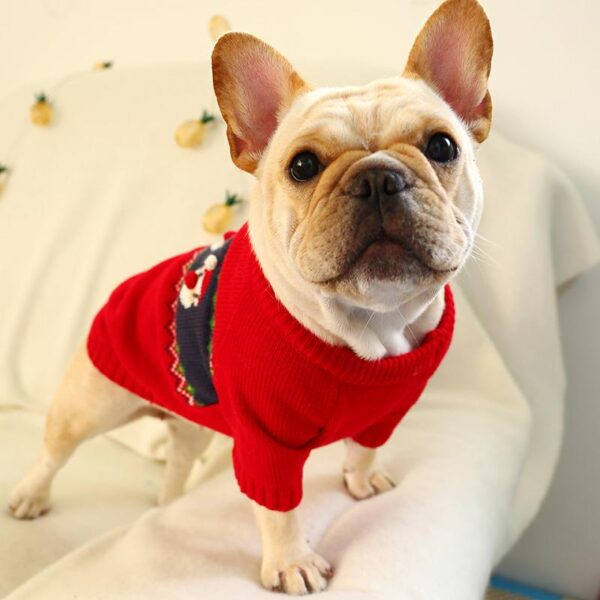 Frenchie World Shop Christmas Santa Frenchie Sweater