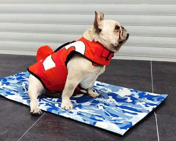 Frenchie World Shop Clownfish Summer French Bulldog Life Jacket