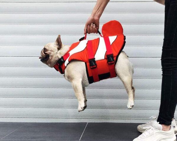 Frenchie World Shop Clownfish Summer French Bulldog Life Jacket