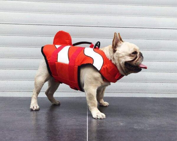 Frenchie World Shop Clownfish Summer French Bulldog Life Jacket