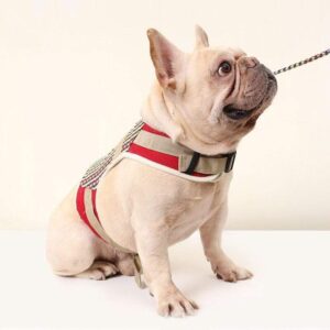 Frenchie World Shop Comfortable Strong Walking The Dog Outside Pet Harness Vest With Leash Set Chest Strap Secure Traction Rope For Small Medium Cat