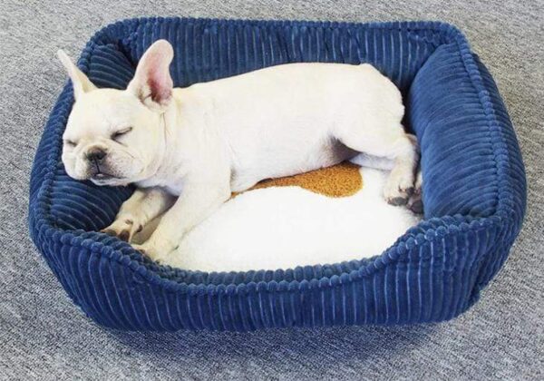 Frenchie World Shop Corduroy Nest French Bulldog Bed