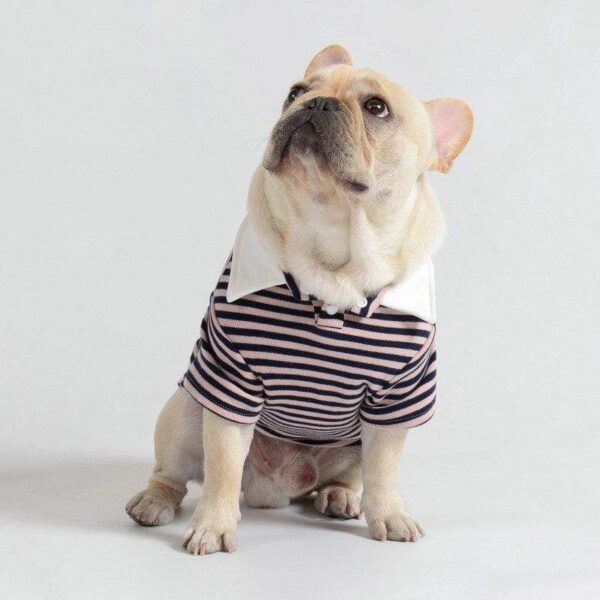 Frenchie World Shop Cotton Striped Dog Polo