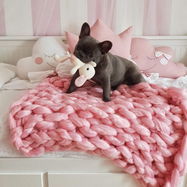 Frenchie World Shop Crochet Knitted Blanket