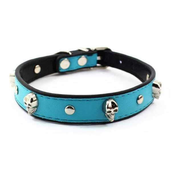 Frenchie World Shop Blue / S Crystal Skull Leather Dog Collar