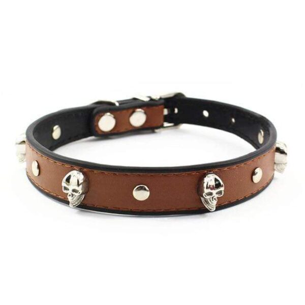 Frenchie World Shop Brown / S Crystal Skull Leather Dog Collar