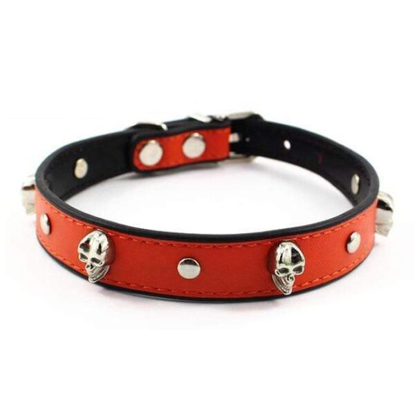 Frenchie World Shop Orange / S Crystal Skull Leather Dog Collar