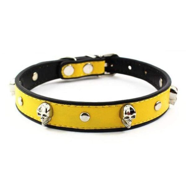 Frenchie World Shop Yellow / S Crystal Skull Leather Dog Collar