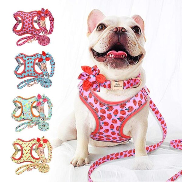 Frenchie World Shop Custom Printed Dog Collar Leash Set Personalized Pet Dog Collar Harnesses Walking Leash For Medium Large Dogs French Bulldog