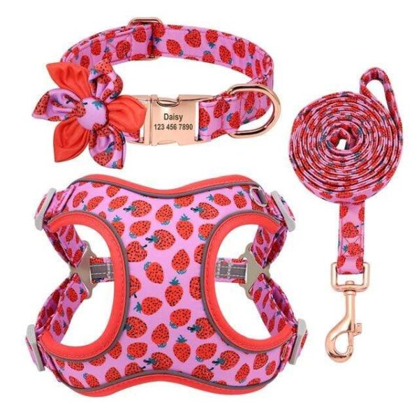 Frenchie World Shop Strawberry / L Custom Printed Dog Collar Leash Set Personalized Pet Dog Collar Harnesses Walking Leash For Medium Large Dogs French Bulldog