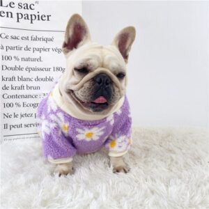 Frenchie World Shop Daisy Puppy clothes Pet Outfits velvet thick cotton clothes warm Dog  sweater French bulldog Shiba Inu Corgi Small dog clothes