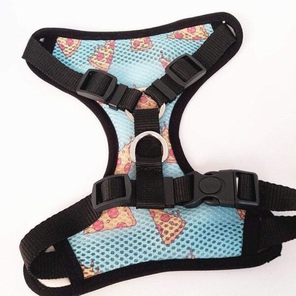 Frenchie World Shop Day Of The Dead Reversible Harness