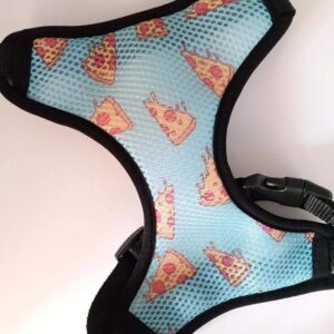 Frenchie World Shop Day Of The Dead Reversible Harness