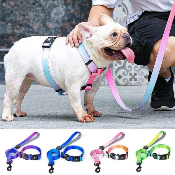 Frenchie World Shop Designer Dog Collar Leash Harness Fashion Gradient Color Pet Products Chain Small Dog Medium Large Fitting Spring Summer