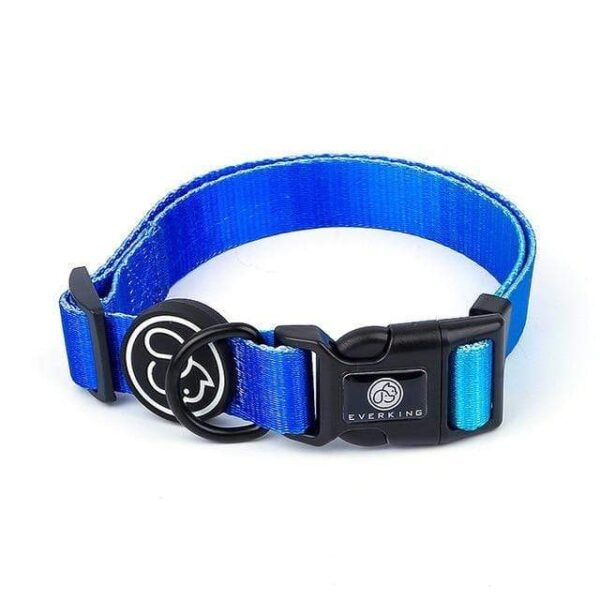 Frenchie World Shop Blue collar / L Designer Dog Collar Leash Harness Fashion Gradient Color Pet Products Chain Small Dog Medium Large Fitting Spring Summer