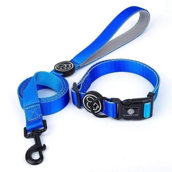 Frenchie World Shop Blue collar Leash / L Designer Dog Collar Leash Harness Fashion Gradient Color Pet Products Chain Small Dog Medium Large Fitting Spring Summer
