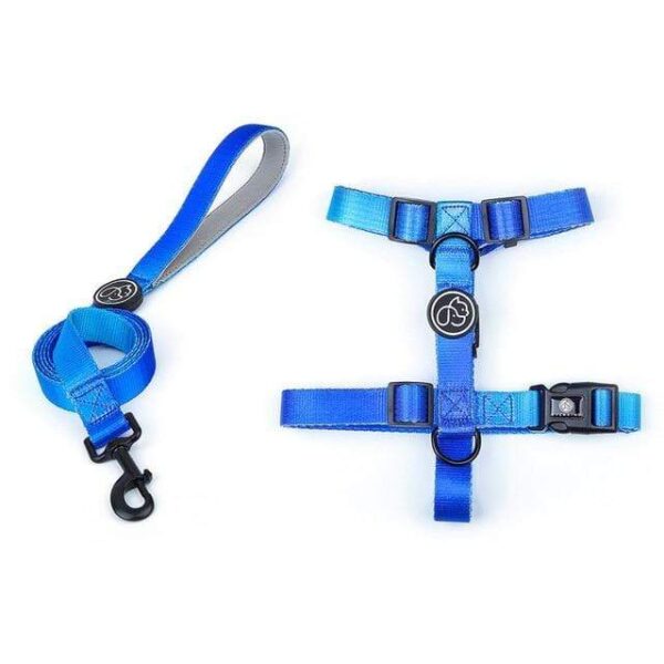 Frenchie World Shop Blue Harness Leash / L Designer Dog Collar Leash Harness Fashion Gradient Color Pet Products Chain Small Dog Medium Large Fitting Spring Summer