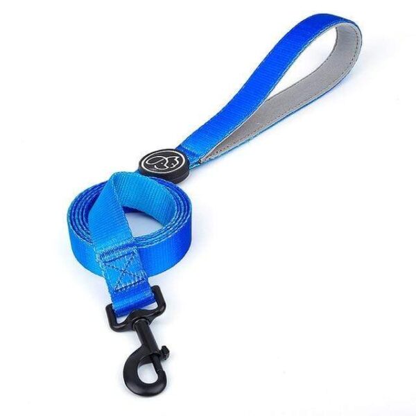 Frenchie World Shop Blue Leash / L Designer Dog Collar Leash Harness Fashion Gradient Color Pet Products Chain Small Dog Medium Large Fitting Spring Summer