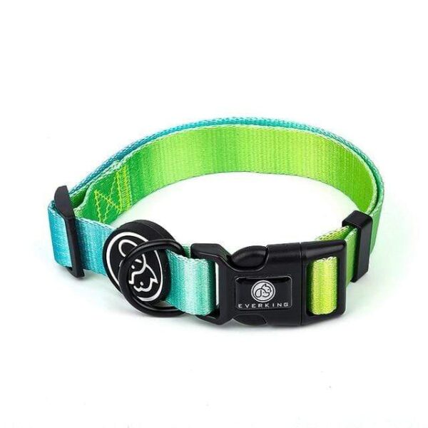 Frenchie World Shop Green collar / L Designer Dog Collar Leash Harness Fashion Gradient Color Pet Products Chain Small Dog Medium Large Fitting Spring Summer