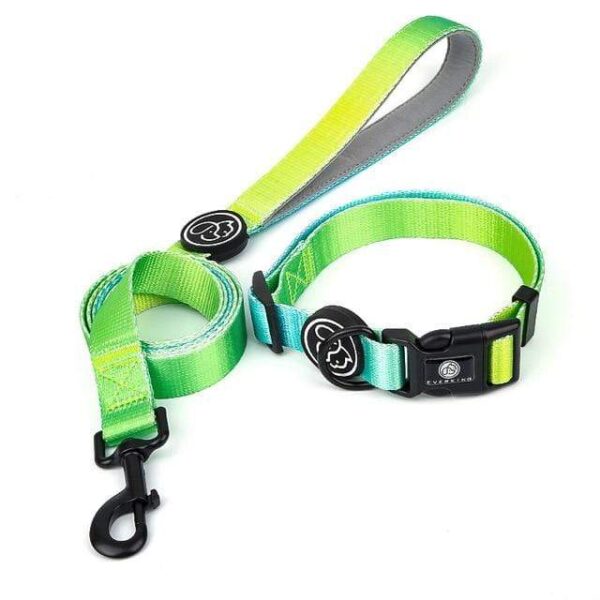 Frenchie World Shop Green collar Leash / S Designer Dog Collar Leash Harness Fashion Gradient Color Pet Products Chain Small Dog Medium Large Fitting Spring Summer