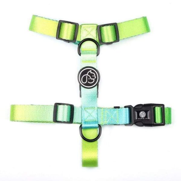 Frenchie World Shop Green Harness / L Designer Dog Collar Leash Harness Fashion Gradient Color Pet Products Chain Small Dog Medium Large Fitting Spring Summer