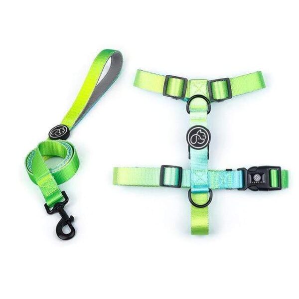 Frenchie World Shop Green Harness Leash / L Designer Dog Collar Leash Harness Fashion Gradient Color Pet Products Chain Small Dog Medium Large Fitting Spring Summer