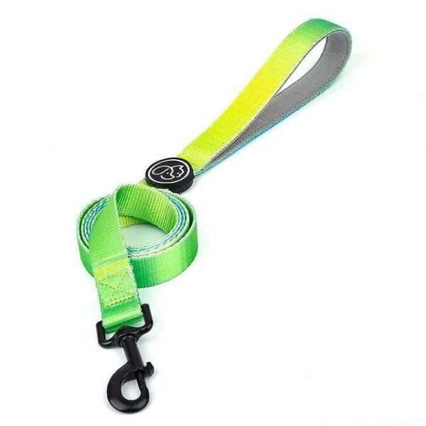 Frenchie World Shop Green Leash / S Designer Dog Collar Leash Harness Fashion Gradient Color Pet Products Chain Small Dog Medium Large Fitting Spring Summer