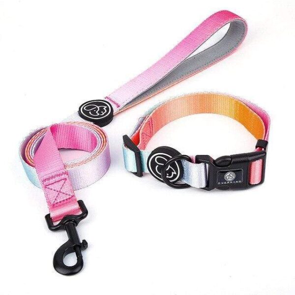 Frenchie World Shop Orange collar Leash / M Designer Dog Collar Leash Harness Fashion Gradient Color Pet Products Chain Small Dog Medium Large Fitting Spring Summer