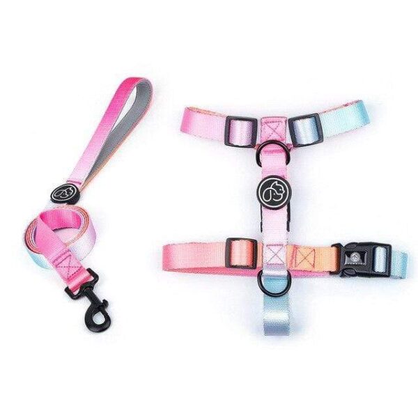 Frenchie World Shop Orange Harness Leash / S Designer Dog Collar Leash Harness Fashion Gradient Color Pet Products Chain Small Dog Medium Large Fitting Spring Summer