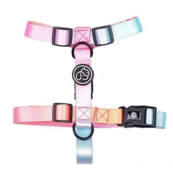 Frenchie World Shop Orange Harness / S Designer Dog Collar Leash Harness Fashion Gradient Color Pet Products Chain Small Dog Medium Large Fitting Spring Summer