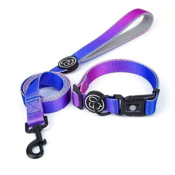 Frenchie World Shop Purple collar Leash / M Designer Dog Collar Leash Harness Fashion Gradient Color Pet Products Chain Small Dog Medium Large Fitting Spring Summer