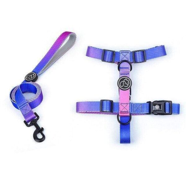 Frenchie World Shop Purple Harness Leash / M Designer Dog Collar Leash Harness Fashion Gradient Color Pet Products Chain Small Dog Medium Large Fitting Spring Summer