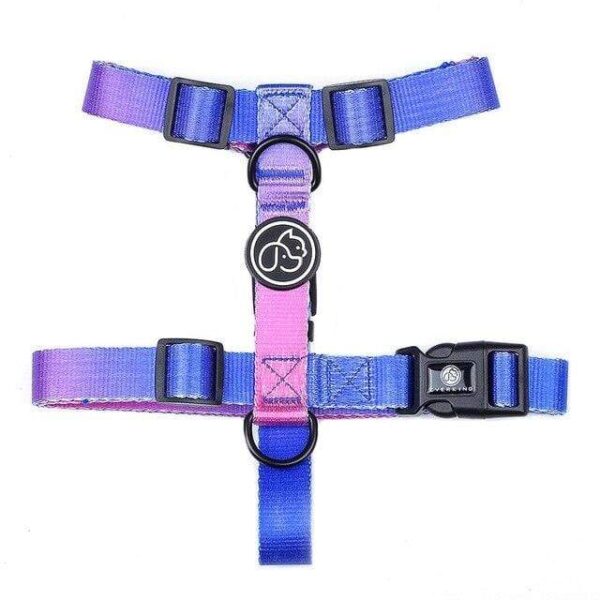 Frenchie World Shop Purple Harness / M Designer Dog Collar Leash Harness Fashion Gradient Color Pet Products Chain Small Dog Medium Large Fitting Spring Summer