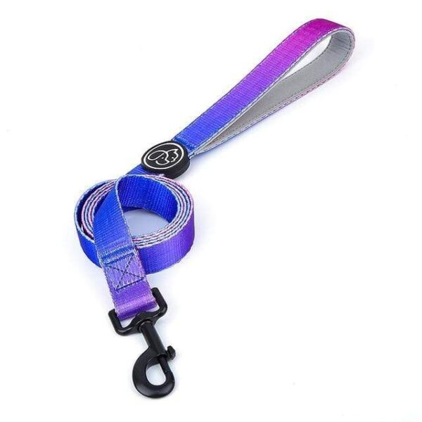 Frenchie World Shop Purple Leash / M Designer Dog Collar Leash Harness Fashion Gradient Color Pet Products Chain Small Dog Medium Large Fitting Spring Summer