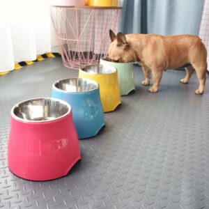 Frenchie World Shop Designer French Bulldog High Foot Bowl