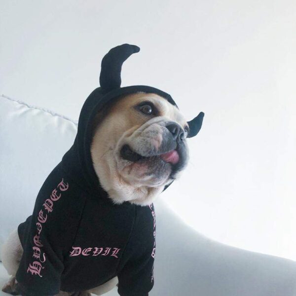 Frenchie World Shop Devil/Unicorn French Bulldog Hoodie