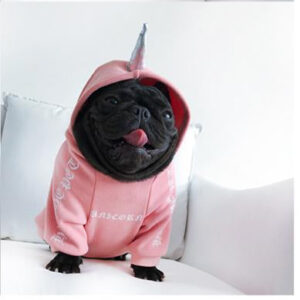 Frenchie World Shop Unicorn / XS Devil/Unicorn French Bulldog Hoodie