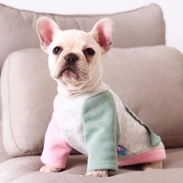 Frenchie World Shop Dino French Bulldog Hoodie