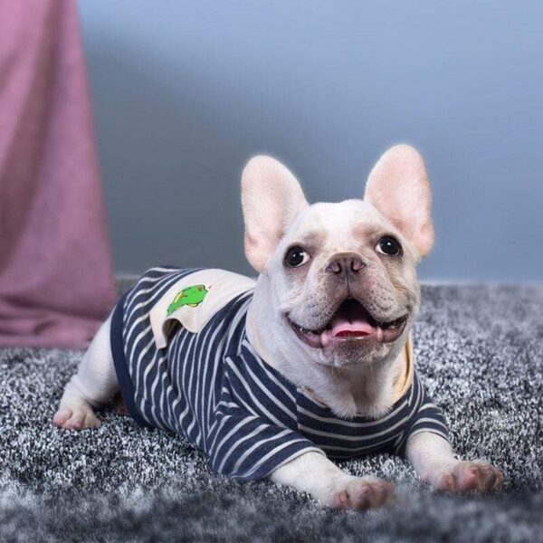 Frenchie World Shop Dino Striped Dog Hoodie